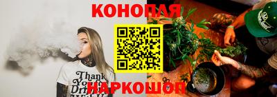 Альфа ПВП Можга