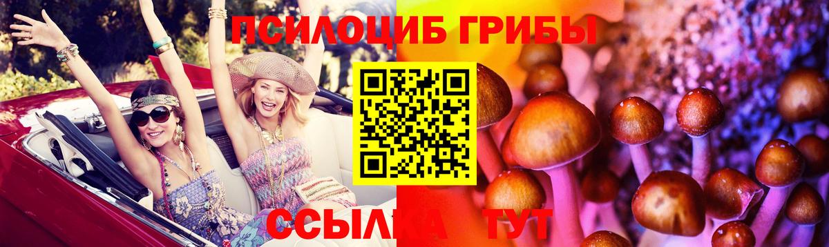 Псилоцибиновые грибы GOLDEN TEACHER Топки